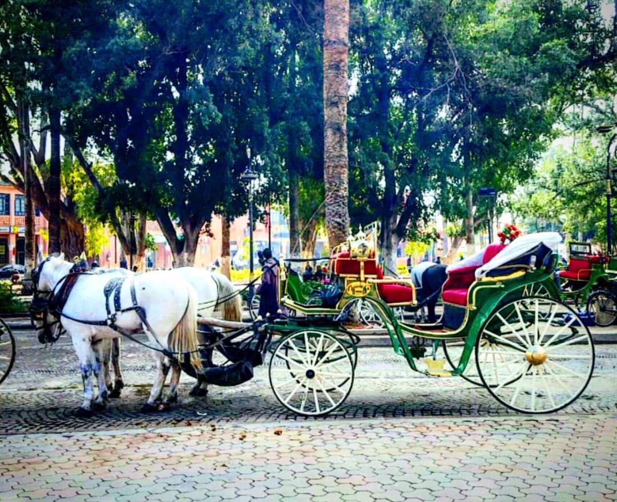 horse drawn carriage marrakech